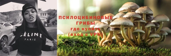 прущие грибы Алзамай