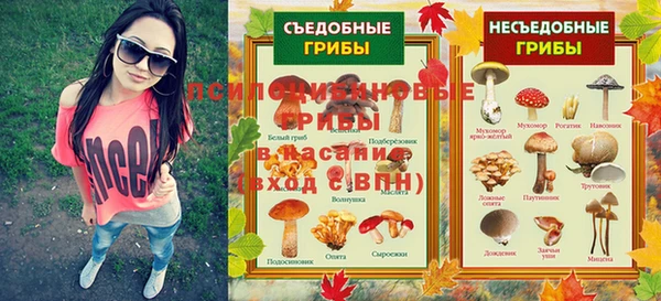 соль ск Алексин