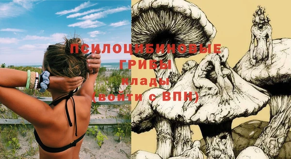 соль ск Алексин